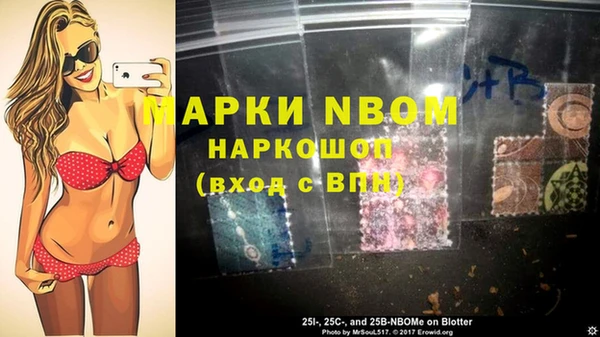 ешки Аркадак