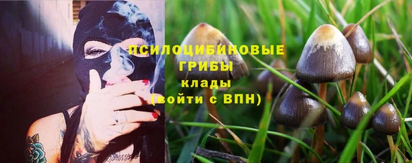 спиды Балабаново