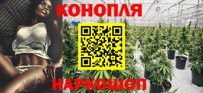прущие грибы Нягань