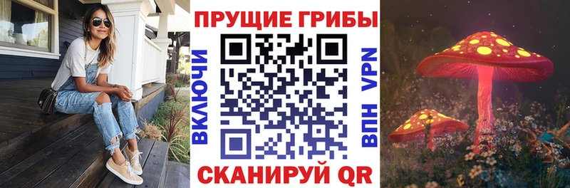 Псилоцибиновые грибы мицелий  Бирск 