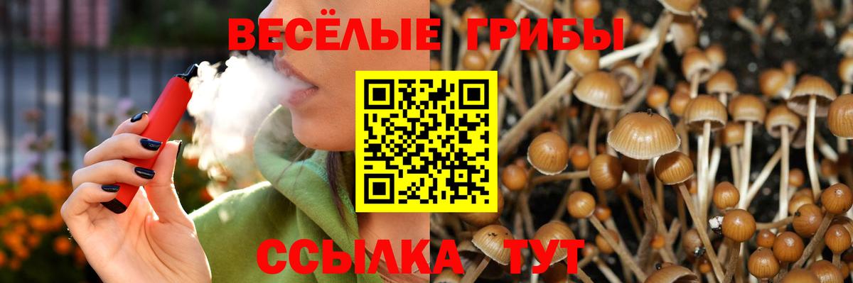 Бирск  Псилоцибиновые грибы мухоморы  Вход с VPN 